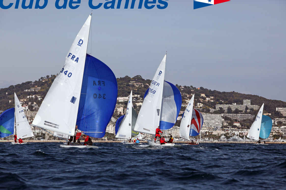 IMG_7900.jpg