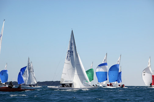 IMG_7920.jpg