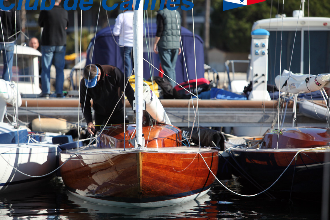 IMG_7486.jpg