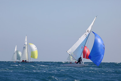 IMG_8643.jpg