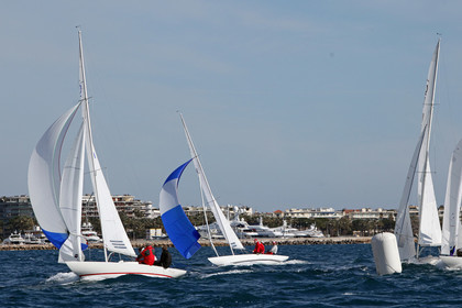 IMG_7767.jpg