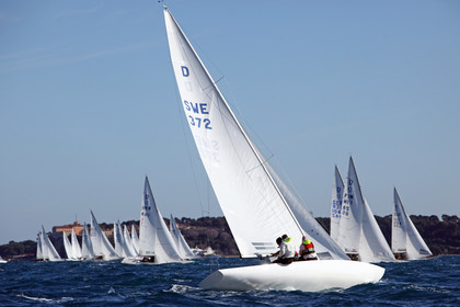 IMG_7839.jpg