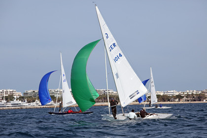 IMG_7976.jpg