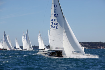 IMG_7810.jpg