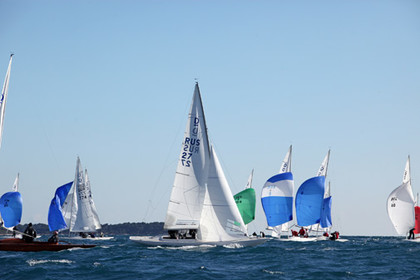 IMG_7920.jpg